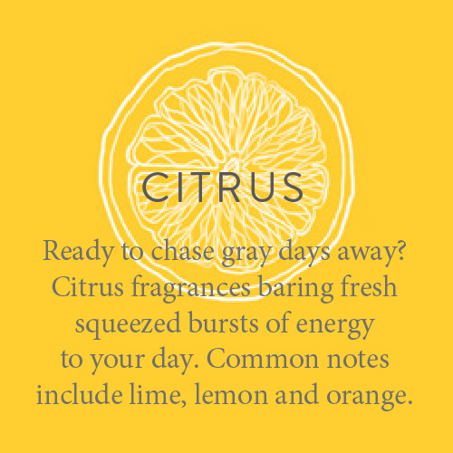 fragrance candles Ready to chase gray days away? Citrus fragrances baring fresh squeezed bursts of energy to your day. Common notes include lime, lemon and orange.